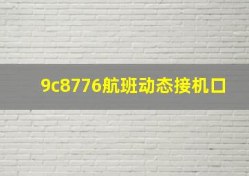 9c8776航班动态接机口