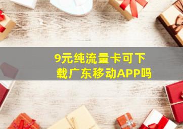 9元纯流量卡可下载广东移动APP吗