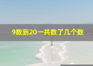 9数到20一共数了几个数