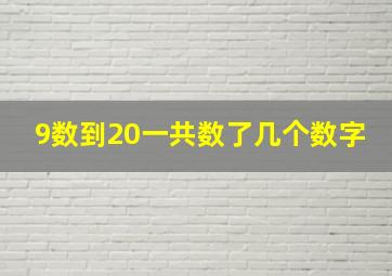 9数到20一共数了几个数字