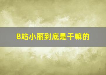 B站小丽到底是干嘛的