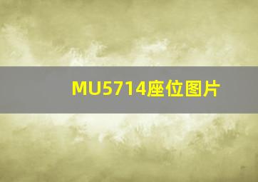 MU5714座位图片