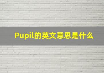 Pupil的英文意思是什么