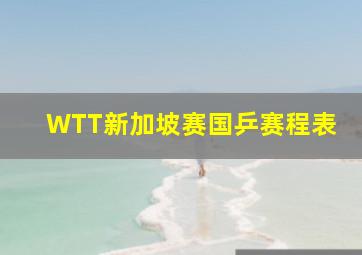 WTT新加坡赛国乒赛程表