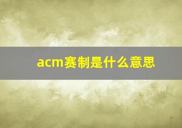 acm赛制是什么意思