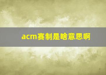 acm赛制是啥意思啊