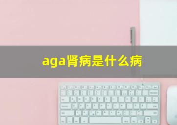 aga肾病是什么病