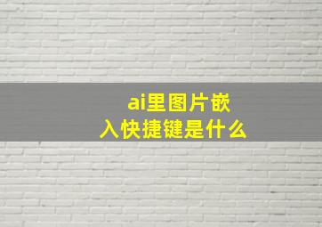 ai里图片嵌入快捷键是什么