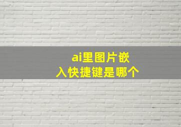 ai里图片嵌入快捷键是哪个