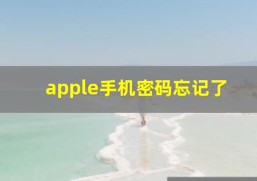 apple手机密码忘记了