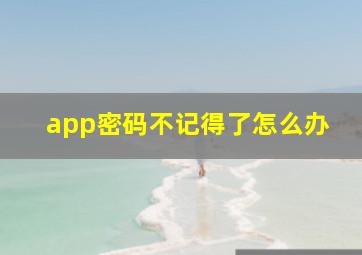 app密码不记得了怎么办