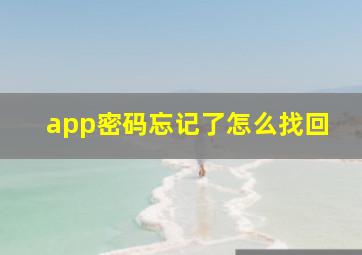 app密码忘记了怎么找回