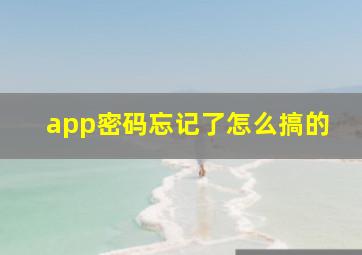 app密码忘记了怎么搞的