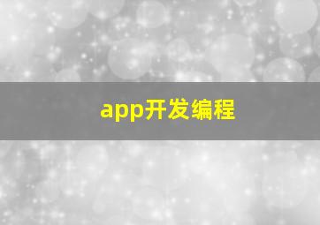 app开发编程