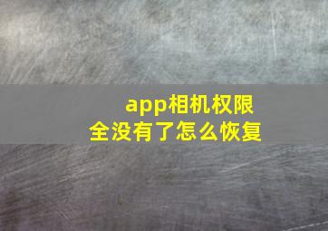 app相机权限全没有了怎么恢复