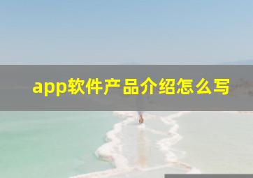 app软件产品介绍怎么写