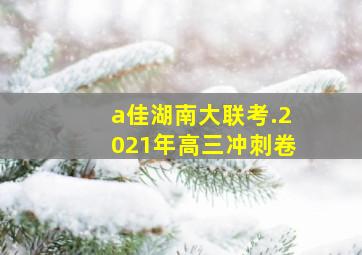 a佳湖南大联考.2021年高三冲刺卷