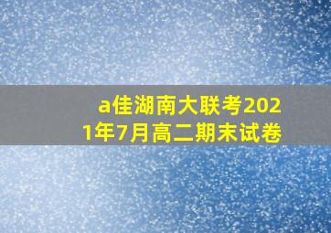 a佳湖南大联考2021年7月高二期末试卷