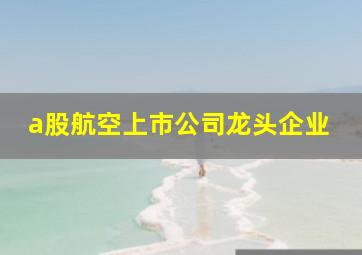 a股航空上市公司龙头企业