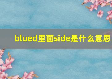 blued里面side是什么意思