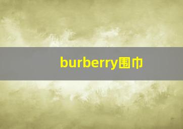 burberry围巾