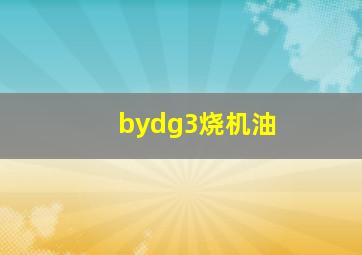 bydg3烧机油