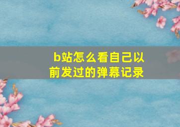 b站怎么看自己以前发过的弹幕记录