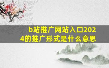 b站推广网站入口2024的推广形式是什么意思