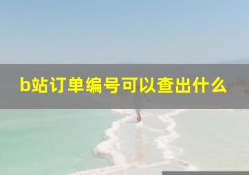 b站订单编号可以查出什么