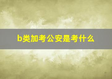 b类加考公安是考什么