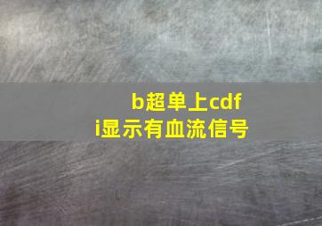 b超单上cdfi显示有血流信号