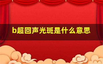 b超回声光斑是什么意思