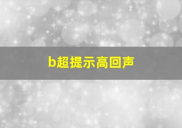 b超提示高回声