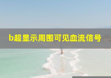 b超显示周围可见血流信号