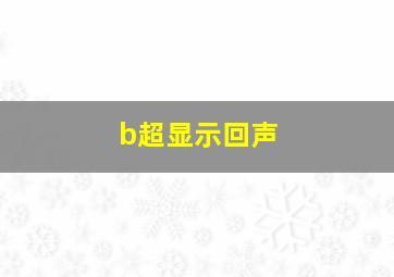 b超显示回声