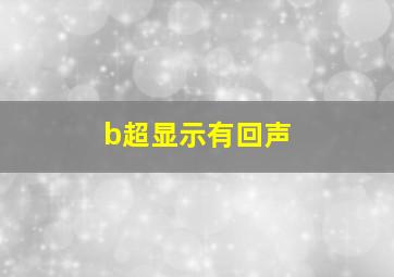 b超显示有回声