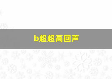 b超超高回声