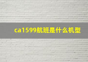 ca1599航班是什么机型