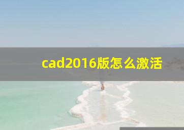 cad2016版怎么激活