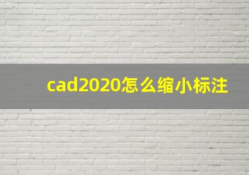 cad2020怎么缩小标注