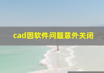 cad因软件问题意外关闭