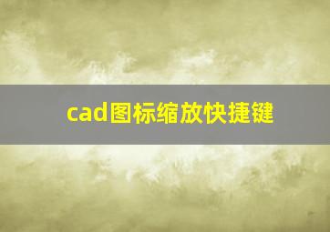 cad图标缩放快捷键