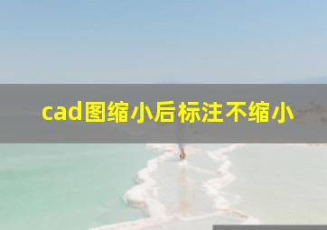 cad图缩小后标注不缩小