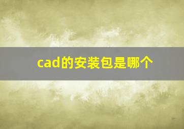 cad的安装包是哪个