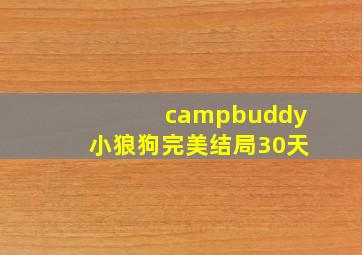 campbuddy小狼狗完美结局30天