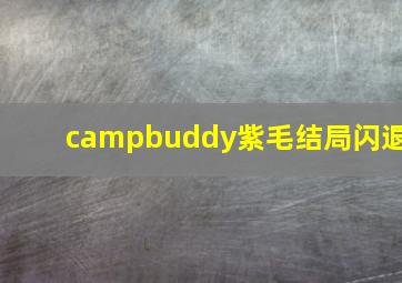 campbuddy紫毛结局闪退