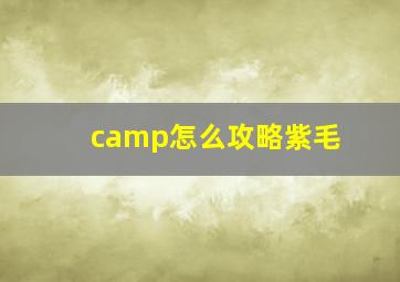 camp怎么攻略紫毛