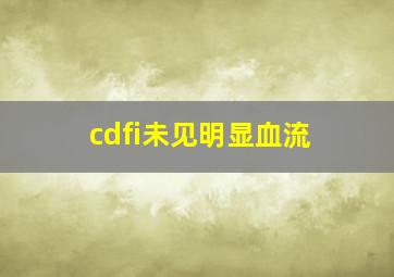 cdfi未见明显血流