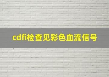 cdfi检查见彩色血流信号