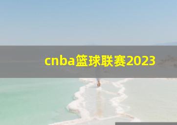 cnba篮球联赛2023